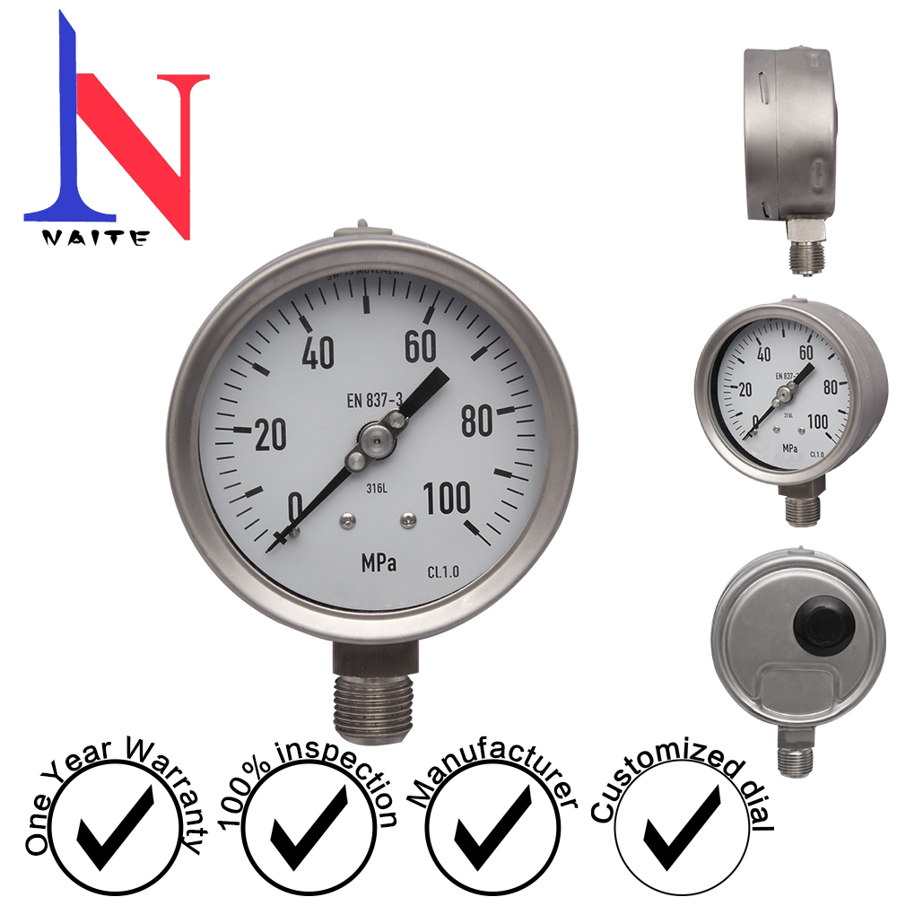 100 meridian WIKA with explosion-proof hole